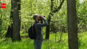 Crowdfunding helps Serbian birdwatchers save woodland