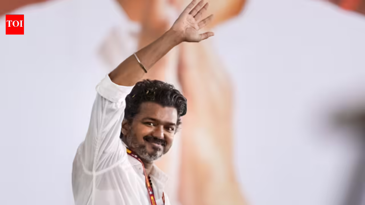 Vijay’s TVK party emerges as formidable force in Tamil Nadu; all you need to know about its journey. India News