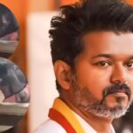 Trisha Krishnan visits Thalapathy Vijay’s house on her birthday as his party leads in Tamil Nadu elections, waves at the paps as she leaves – WATCH VIDEO | Hindi Movie News