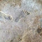 In 2021, researchers scanning a New Mexico lakebed found 23,000-year-old human footprints that rewrote the oldest chapter of American history.