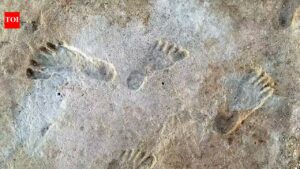 In 2021, researchers scanning a New Mexico lakebed found 23,000-year-old human footprints that rewrote the oldest chapter of American history.