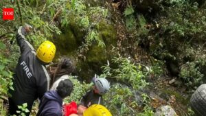 SUV plunges into deep gorge near Nainital, 1 dead | Dehradun News