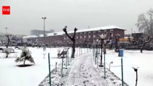 Mercury plunges as snow, rains hit Kashmir, Himachal & Uttarakhand. India News