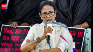 West Bengal elections: Bhabanipur hands Mamata her most personal loss. India News