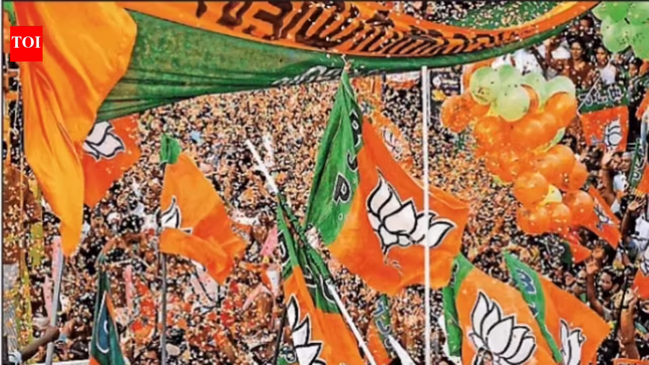 BJP Road Development: 0 to 3: BJP rides on development road. India News