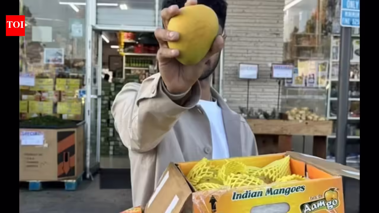 From tracking flights to pausing meetings: How Americans fight for a slice of Indian mangoes annually |