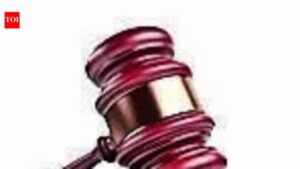 Murder caught on CCTV cam, man denied bail. Noida News