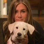 Jennifer Aniston Home Decor: Artistic elegance of Jennifer Aniston’s luxurious home |