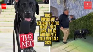 Luna K9: ‘Most important celebrity of the night’: Meet Luna, the K9 who quietly stole Met Gala 2026