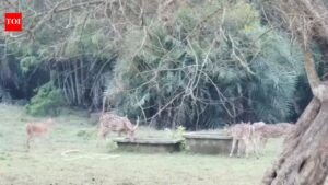 Forest dept takes steps to provide water to animals in Bhitarkanika. Bhubaneswar News