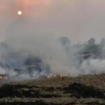 No subsidies, financial assistance if farmers found burning crop residue. Gurgaon News
