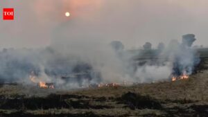 No subsidies, financial assistance if farmers found burning crop residue. Gurgaon News