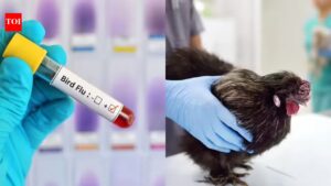 UK University seeks volunteers to stop the next global outbreak of bird flu