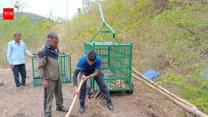 Mohan safari zone in Corbett shut after 2 tiger attacks in a month. Dehradun News