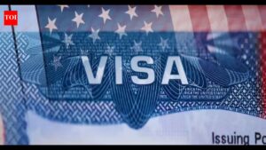 Indian-origin techie-doctor duo considers moving to Dubai: No Green Card, can’t visit home on H-1B