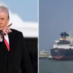 ‘Project Freedom will be paused for a short period’: Trump halts Hormuz operation amid Iran talks, Pakistan request