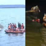 Jabalpur boat tragedy: Court orders FIR against boat operator, says pilot ‘abandoned passengers’