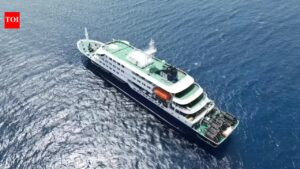 Hantavirus Outbreak: Hantavirus outbreak timeline: How a deadly Atlantic cruise ship crisis unfolded for weeks before detection