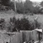 In 1795, a teenager’s discovery of an odd depression in the ground on Oak Island started a treasure hunt that remains unsolved.