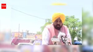 ‘This is BJP’s way of working’: Punjab CM Bhagwant Mann blames saffron party for twin blasts; calls it election preparation Chandigarh News