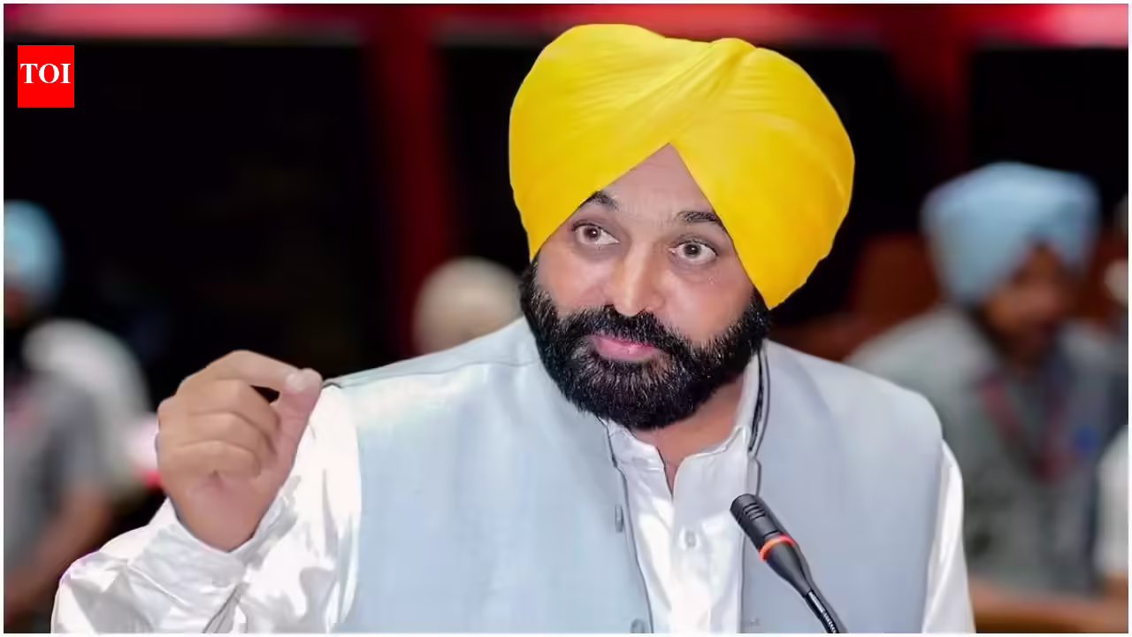 Punjab CM Bhagwant Mann links twin blasts to BJP’s 2027 election strategy. Chandigarh News