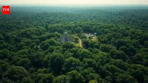 The forest of secrets: Why 60,000 structures ancient were hiding in plain sight |
