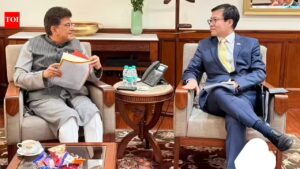 India-South Korea trade pact review meeting likely on May 25: report
