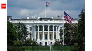 White House may be planning to bring a law to ensure Anthropic, Google and other companies cannot say ‘No’ to the US government in future