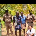 Stray dogs maul 14 goats to death in two villages in Tirupur. Coimbatore News