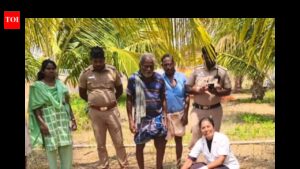 Stray dogs maul 14 goats to death in two villages in Tirupur. Coimbatore News