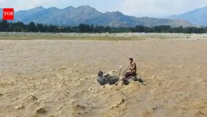 Suru River tragedy: Pakistan hands over body of Ladakh minor after 46 days. India News