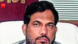 PMC to roll out digital overhaul of civic services. Patna News