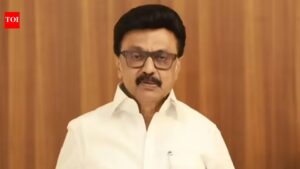 Tamil Nadu verdict: Let Vijay form government, will watch, won’t disturb for 6 months, says MK Stalin. India News