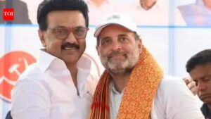 INDIA bloc cracks as Congress snaps 11-year-old DMK ties | India News