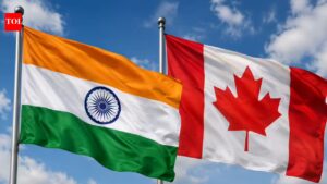 ‘Baseless imputations’: MEA dismisses Canadian spy agency’s allegations on foreign interference. India News