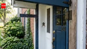 Why does your front door keep getting a new spider web every morning?