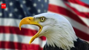 Bald Eagle Feather Law: If caught with this one item when in the United States, tourists could face a fine of USD 100,000 and prison sentence.