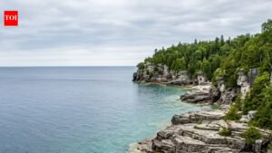Beware the water: These 5 US states are packed with water snakes |