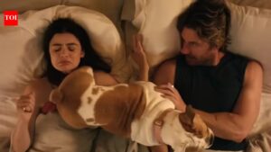 ‘Princess’: Lucy Hale and Adam Demos wrap up shooting for romantic comedy | English Movie News