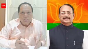 Developer seeks Euthanasia, alleges political pressure in firing case. Thane News