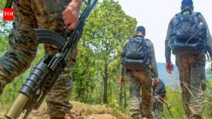 Chhattisgarh Maoist Attack Case: Chhattisgarh high court upholds acquittal of 10 accused in 2010 Maoist attack that killed 76 security personnel. Raipur News