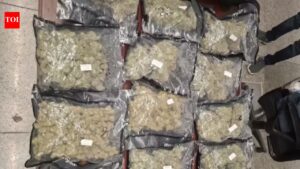 Gorakhpur youth held at Lucknow airport with hydroponic weed worth Rs 2.86 crore | Lucknow News
