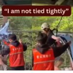 She kept screaming, “I am not tied well”; teen tourist dies in a cliff swing accident in China sparking outrage over adventure tourism safety
