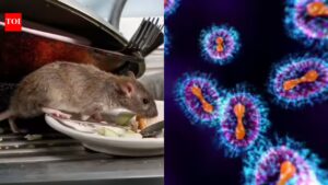 Explainer: Can hantavirus outbreak become Covid 2.0?