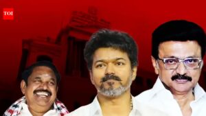 108 seats but no majority: Can TVK’s Vijay form govt? Tamil Nadu number game explained | India News