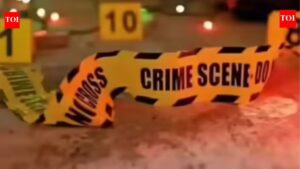 2 killed in encounter weeks after robbery at bizman’s house in UP | Agra News