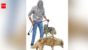 4 nabbed in Hyderabad Husky abandonment case | Hyderabad News