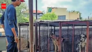 Animal confinement, breeding suspected at Secunderabad cemetery. Hyderabad News