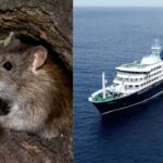 Hantavirus outbreak: WHO warns 12 countries after South Atlantic cruise ship confirmed cases; raising global travel health concerns