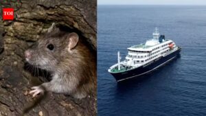 Hantavirus outbreak: WHO warns 12 countries after South Atlantic cruise ship confirmed cases; raising global travel health concerns
